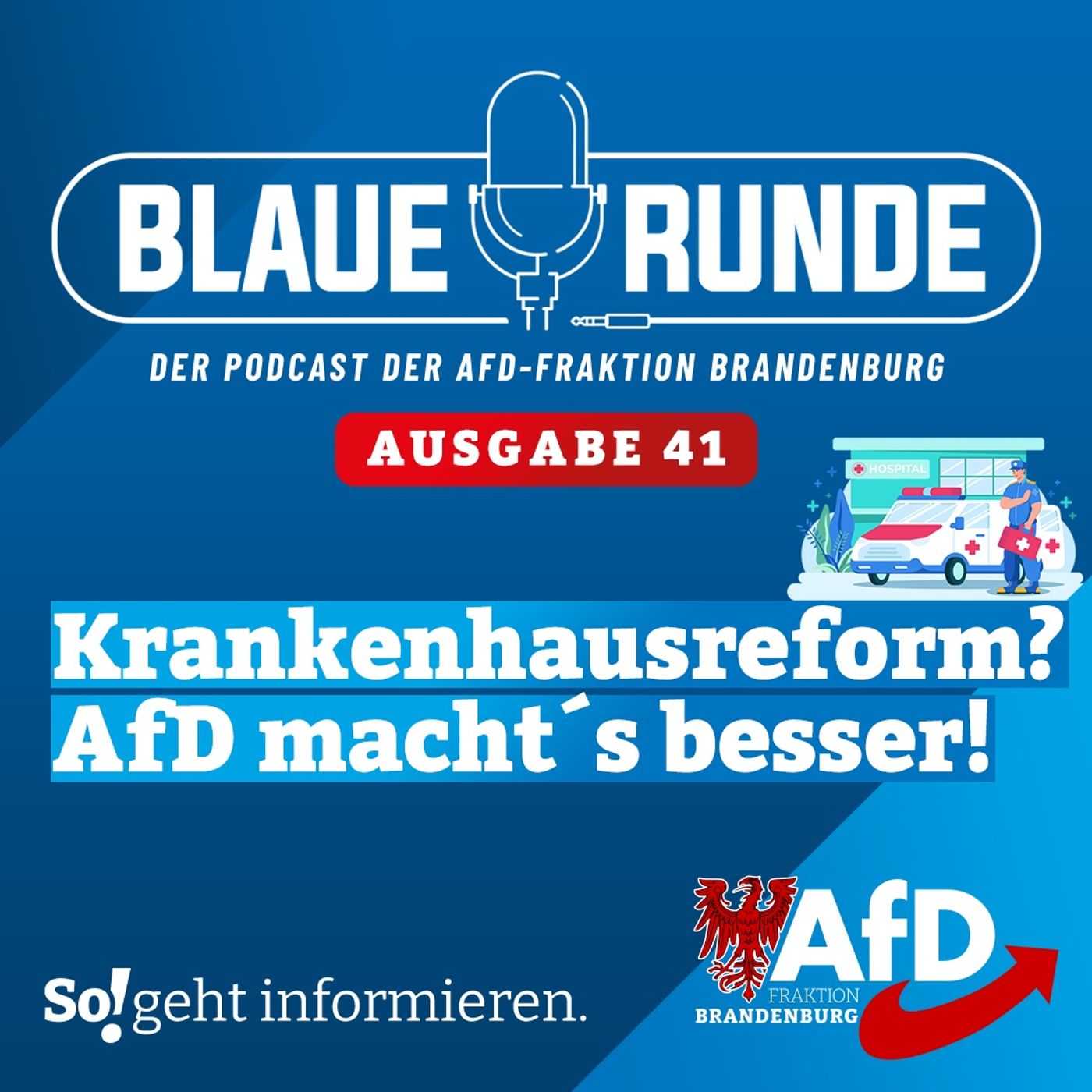 Krankenhausreform? AfD macht´s besser! | Die Blaue Runde, Ausgabe 41/24 vom 10.07.24 episode artwork