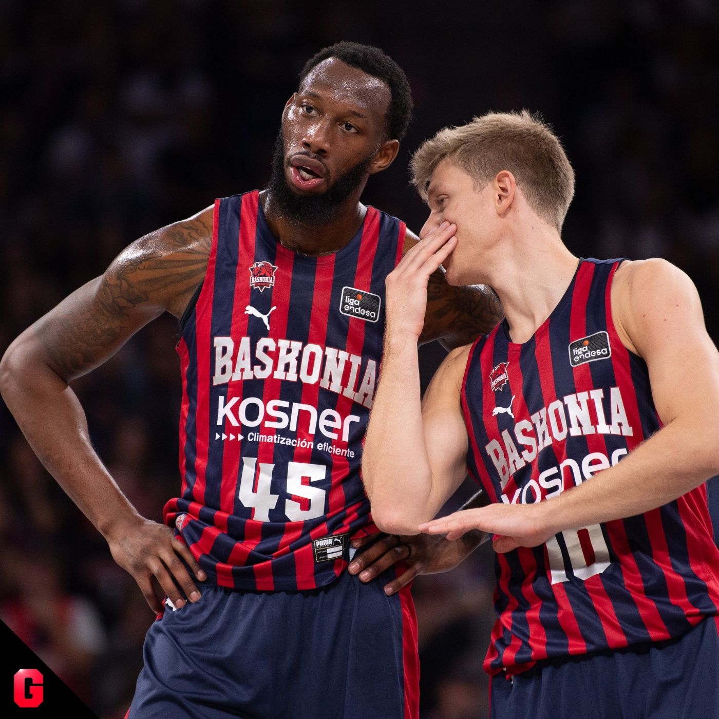 Gigantes Daily, baloncesto al día