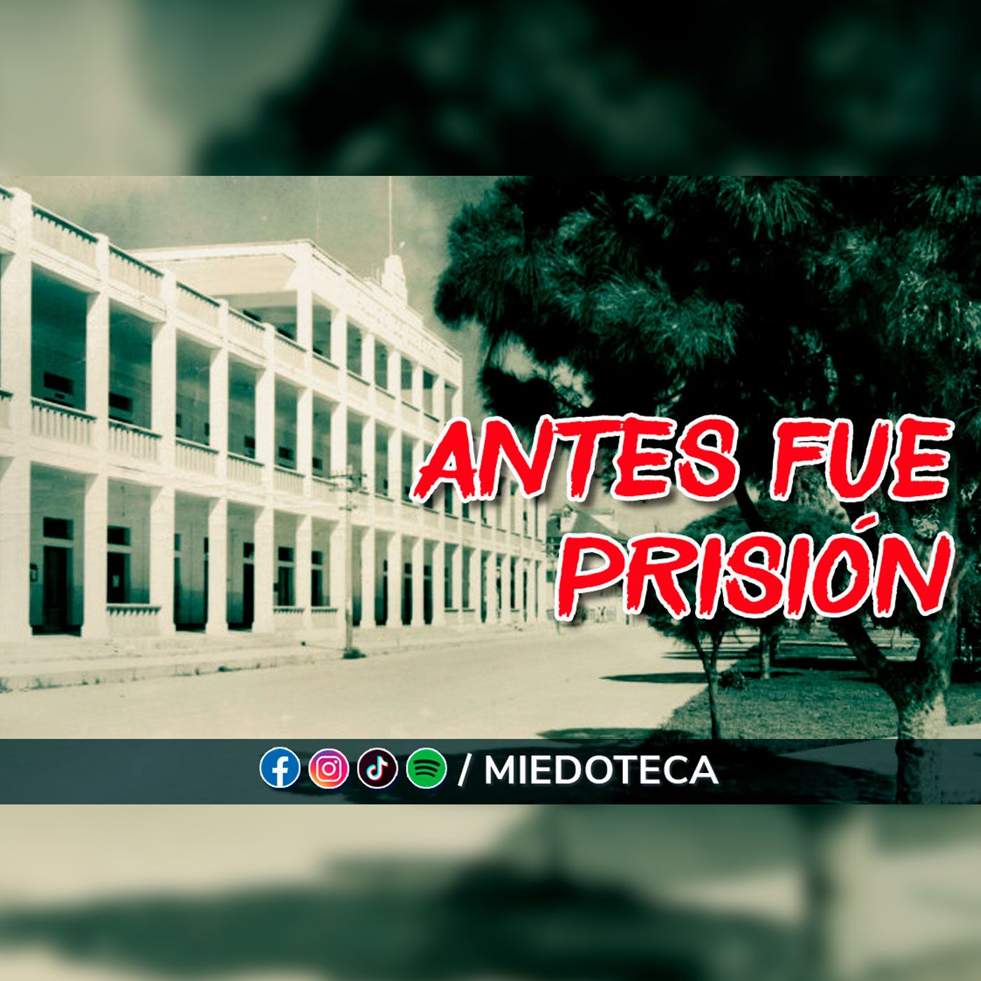 Miedoteca