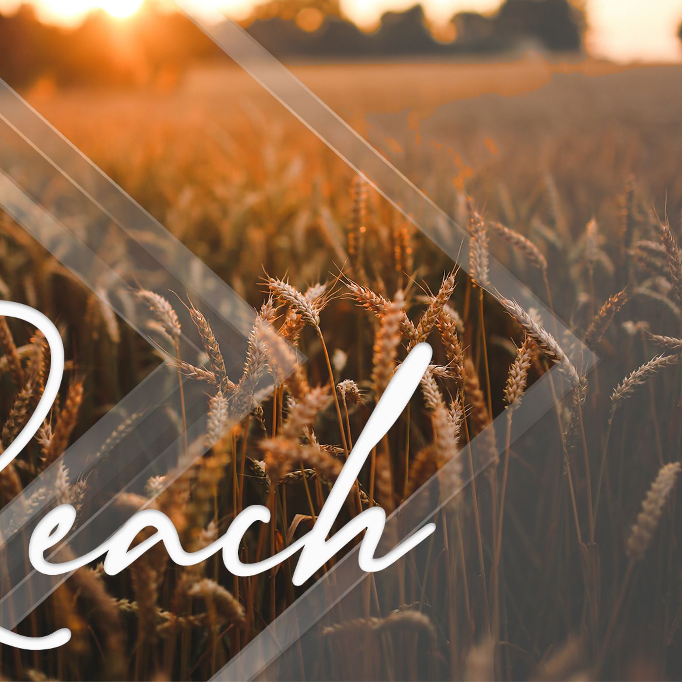 Crossgate Church Podcasts