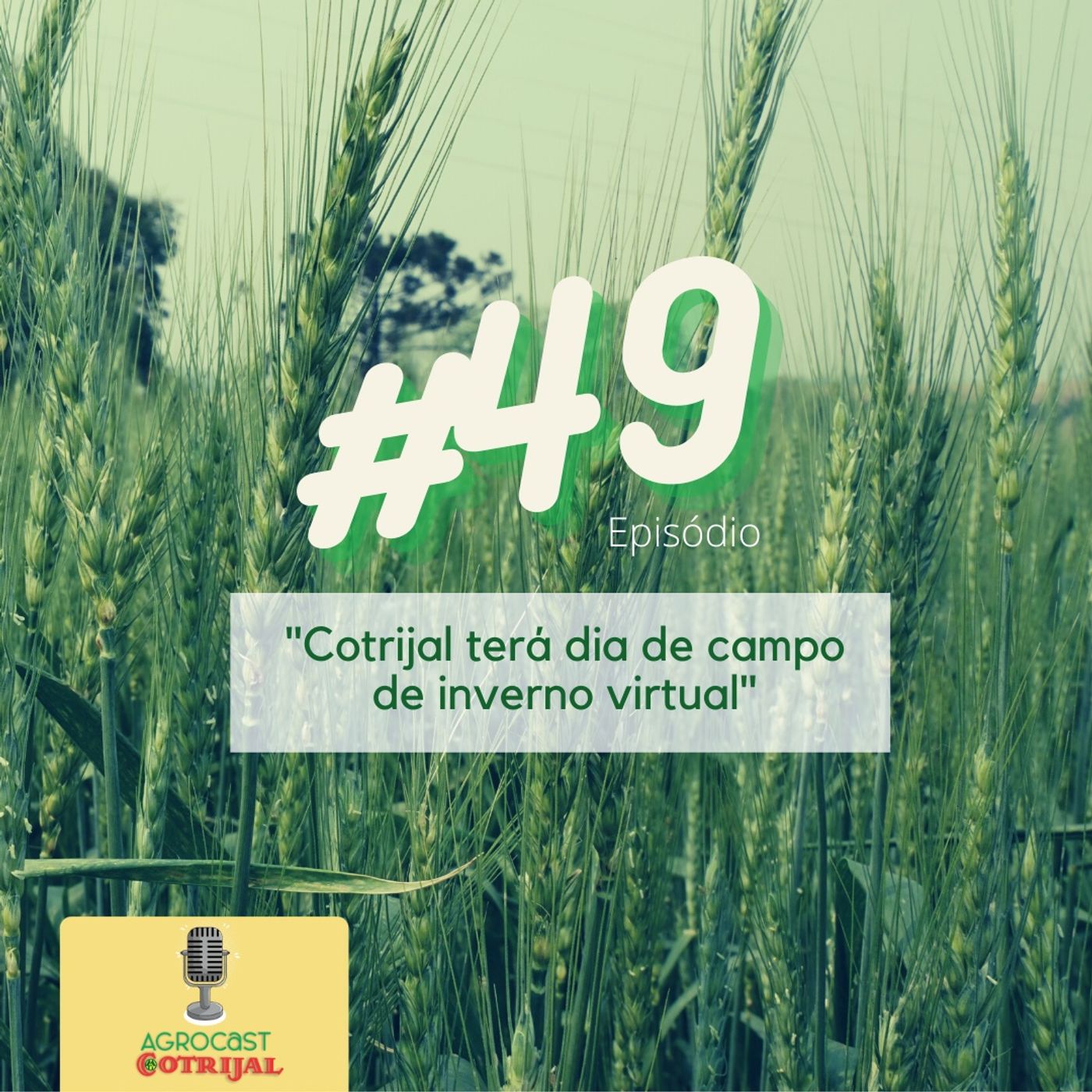 AgroCast Cotrijal