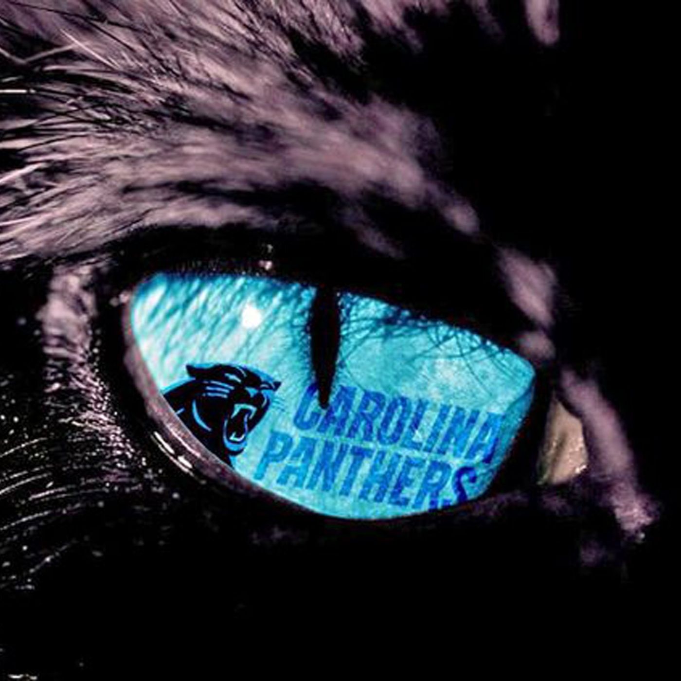 Panthers Reddit Podcast