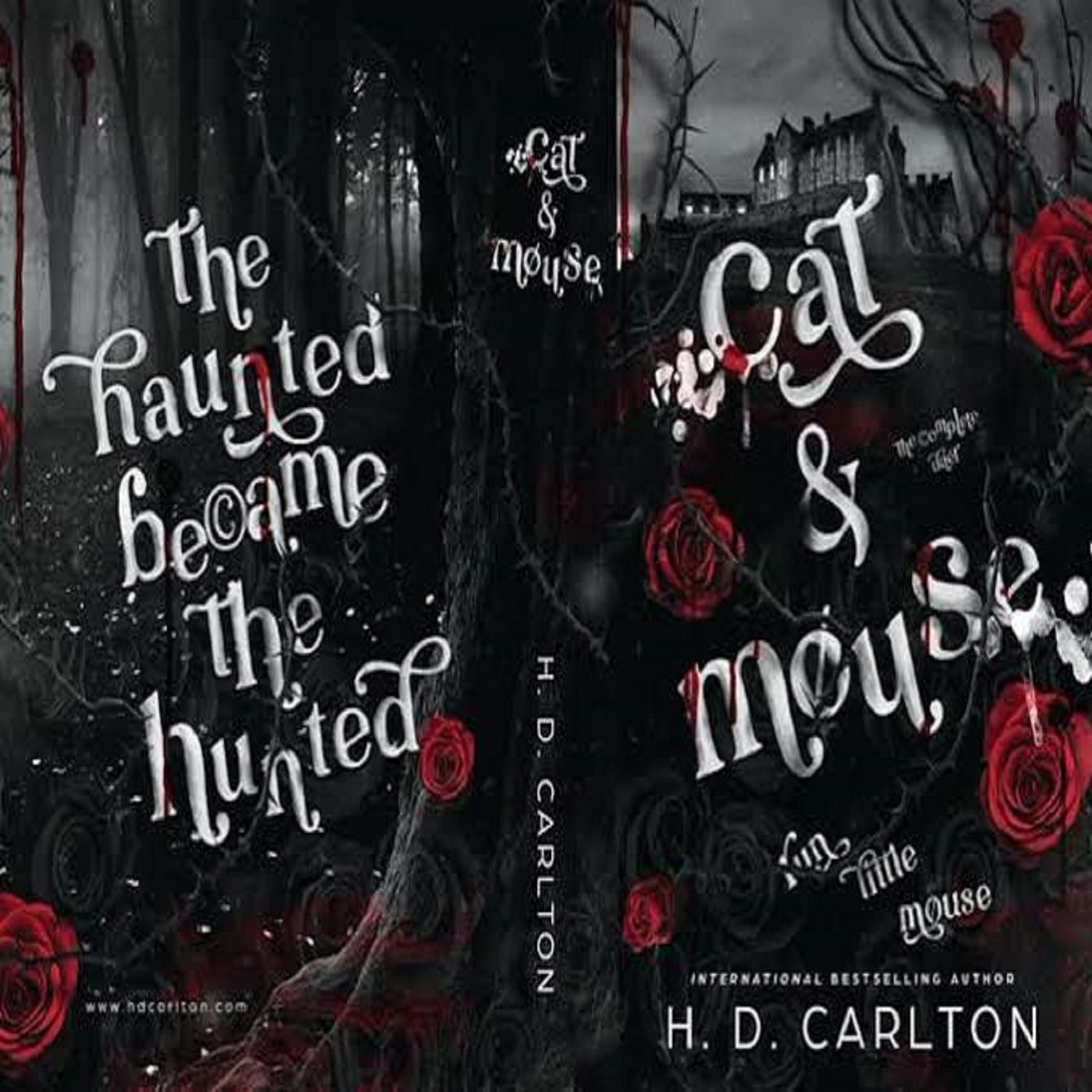 Cat and Mouse Duet podcast artwork