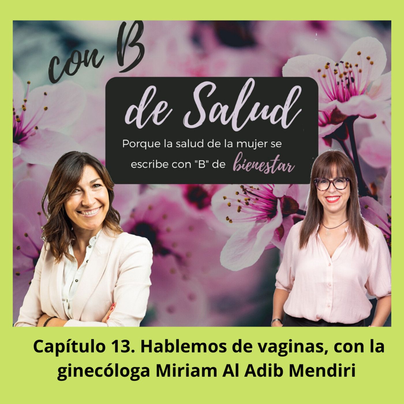 Capítulo 13. Hablemos de vaginas con la ginecóloga Miriam Al Adib Mendiri episode artwork