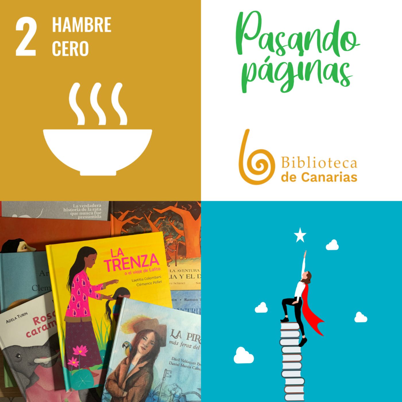 Pasando Páginas