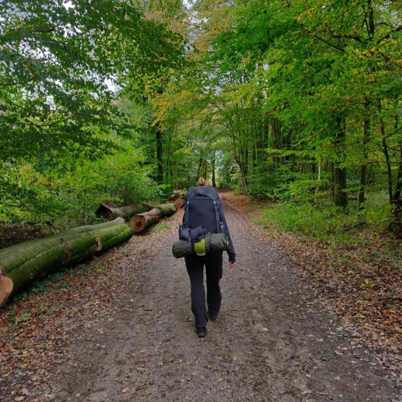 Vandring i Virkeligheden