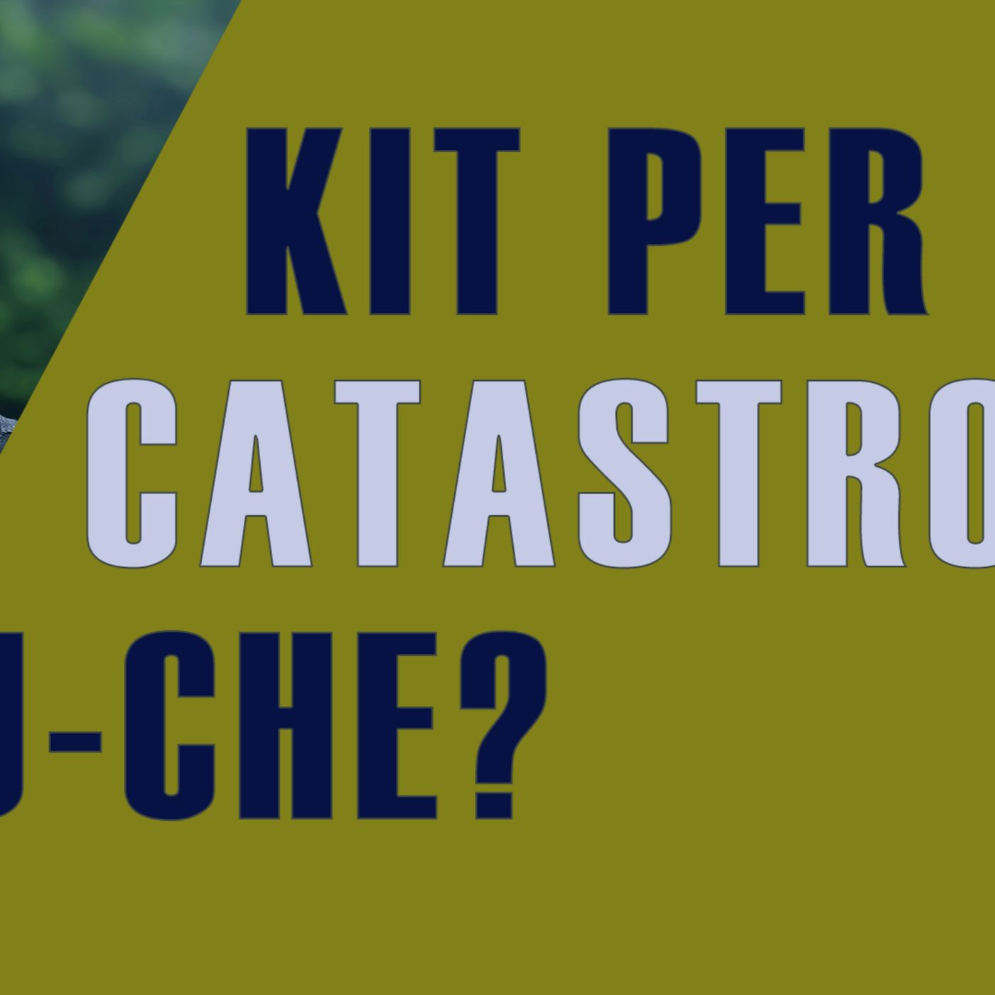 Commento il KIT di sopravvivenza UE episode artwork