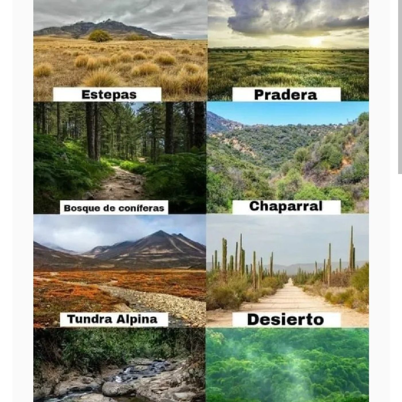 Formas de energía episode artwork