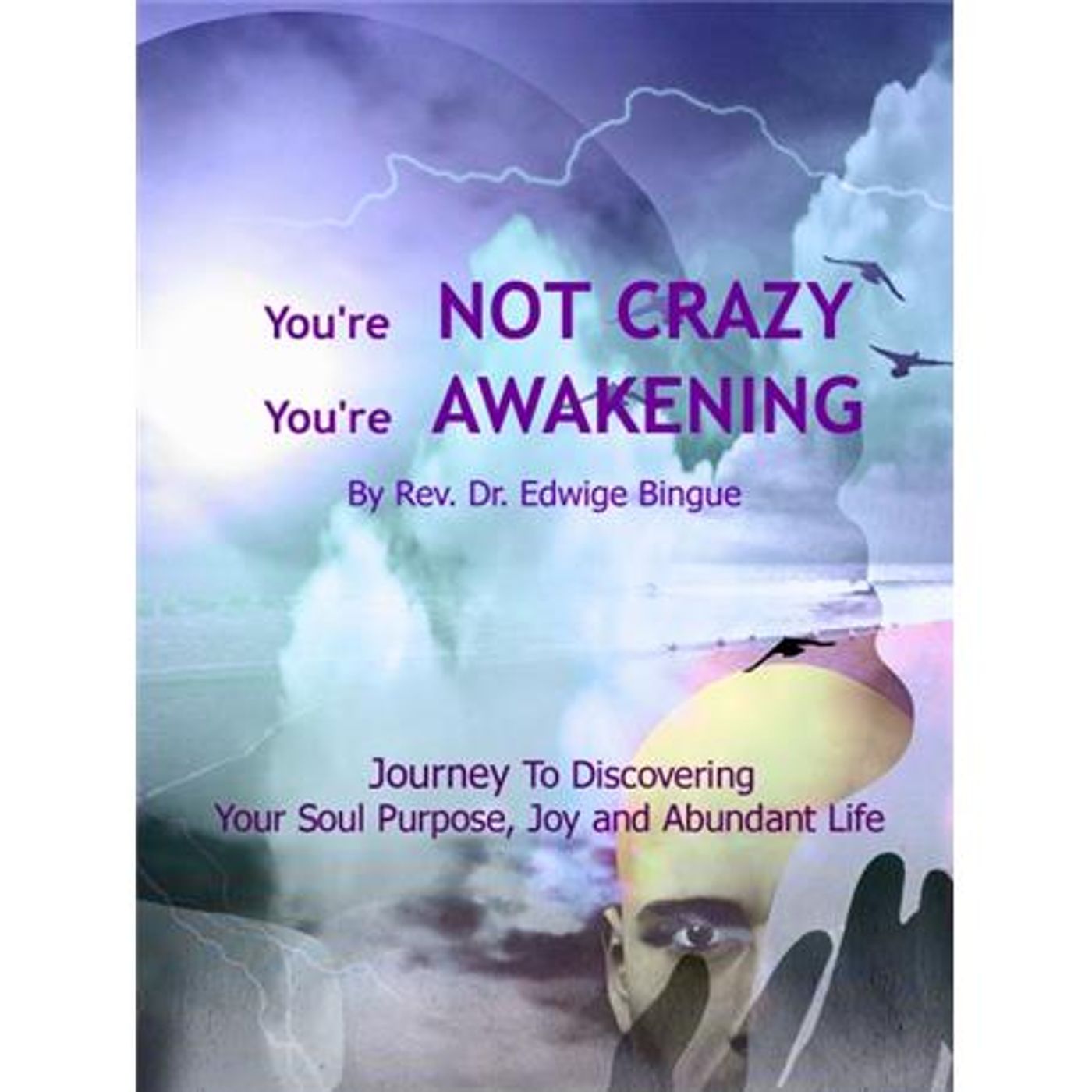 What is your stage of Consciousness and how can you relate to others? episode artwork