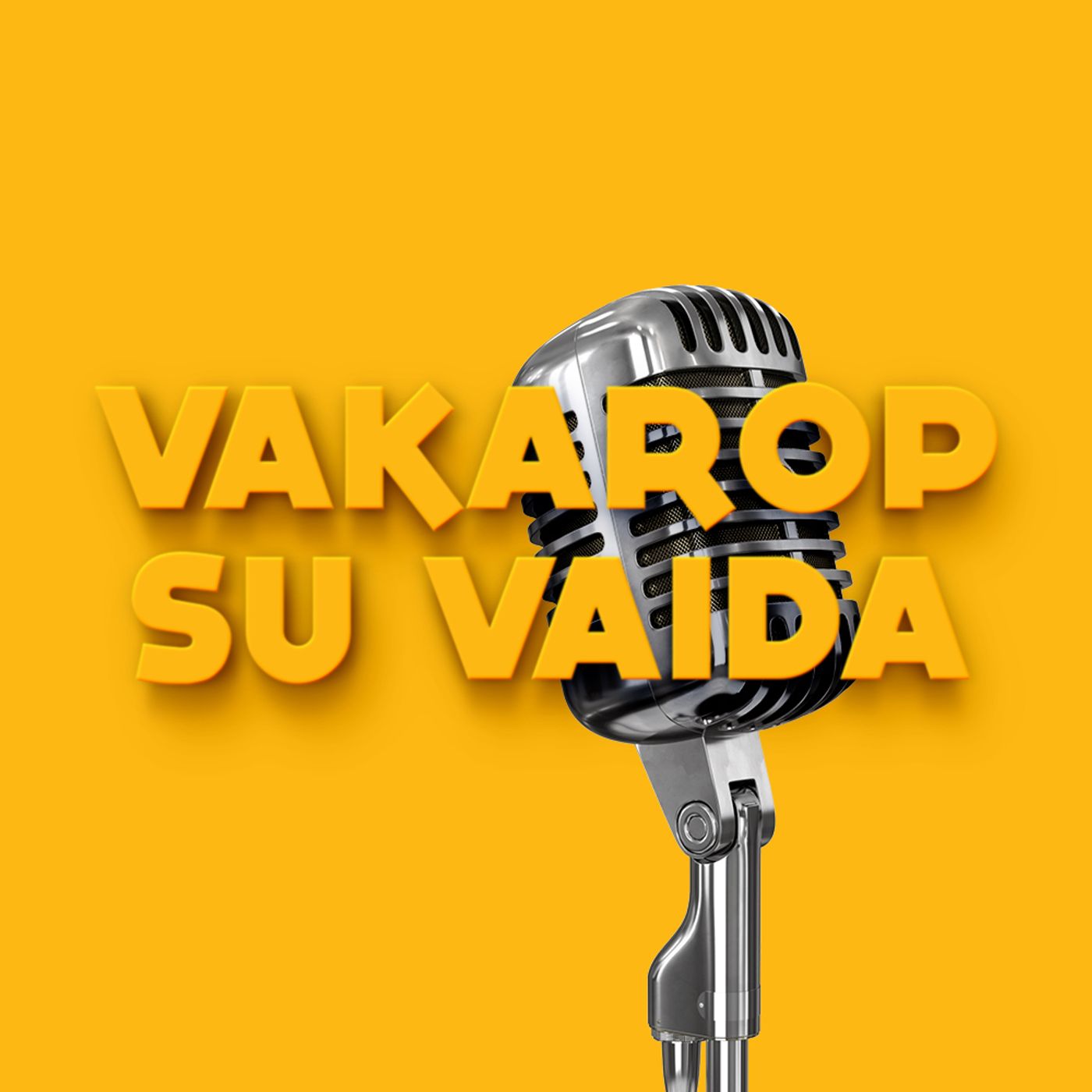VAKAROP SU VAIDA