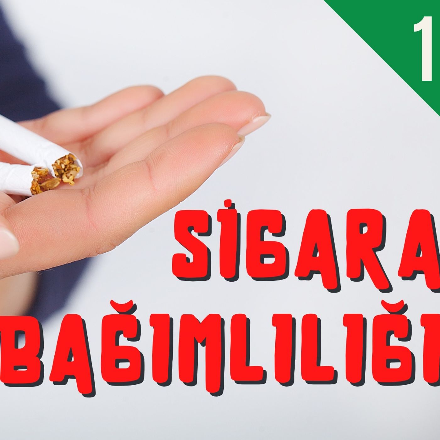 Hiçbir Zaman\'dan Bugün Doğar - M. Şimşek