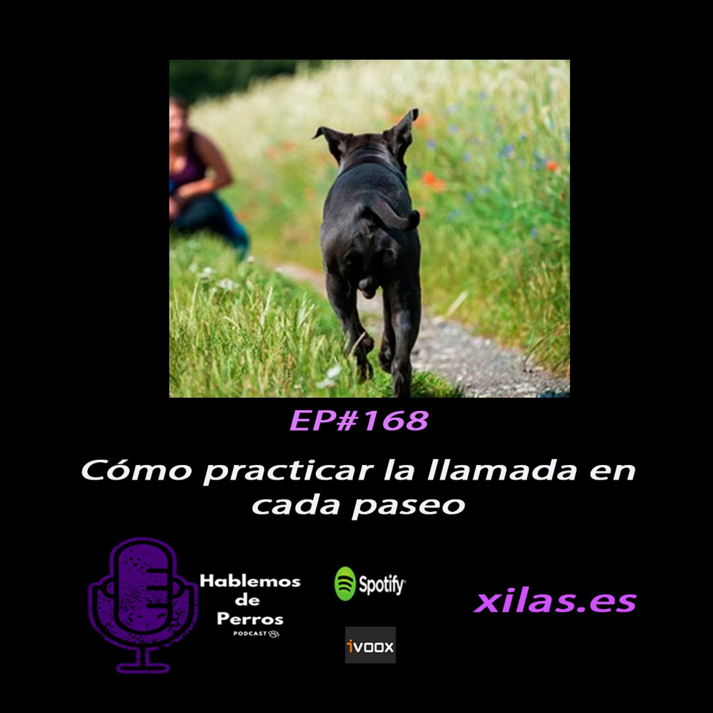 Hablemos de perros