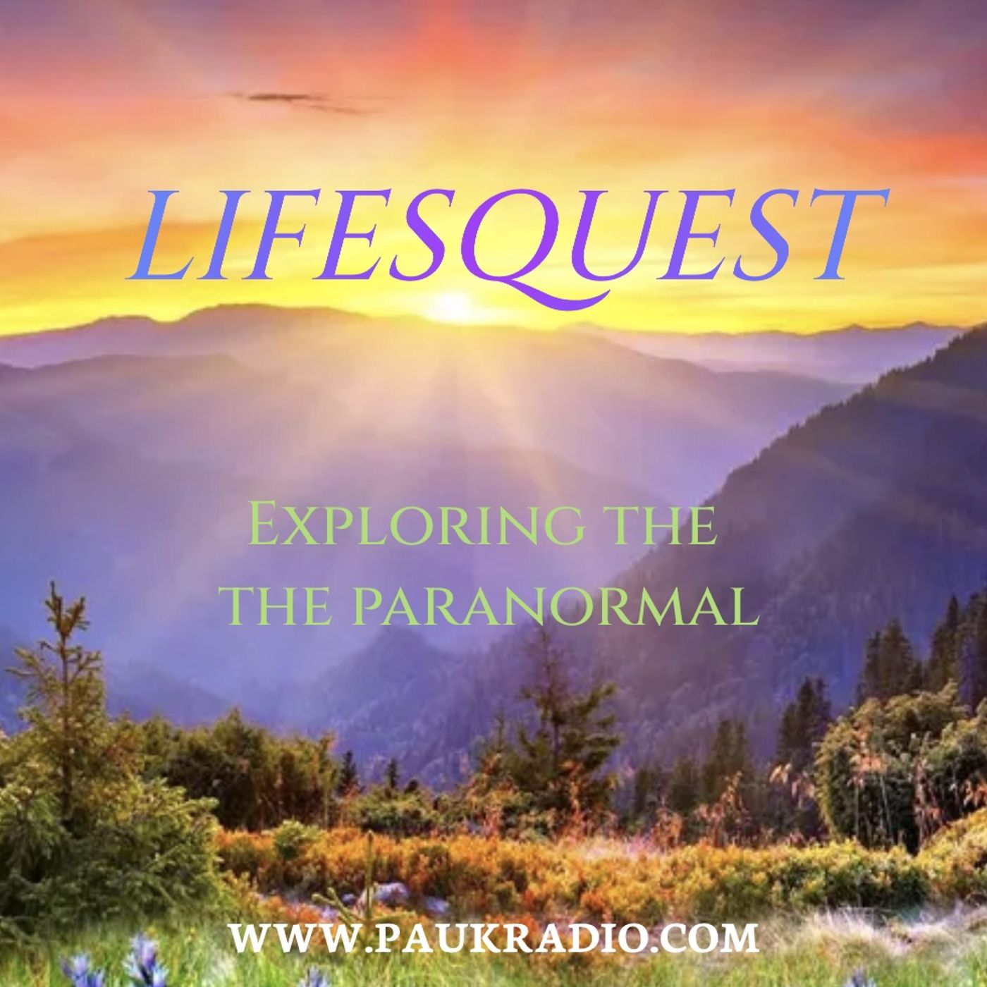Lifesquest - Heron Hall Part 2 - the investigation continues