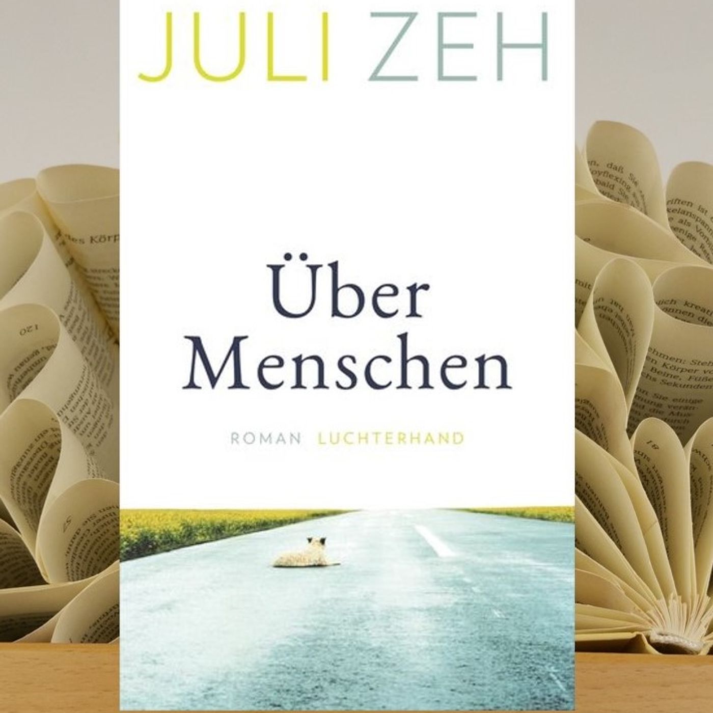 LesBar im Stern-Zimmer