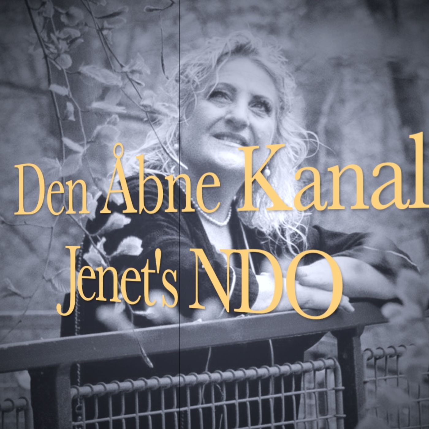 Den Åbne Kanal