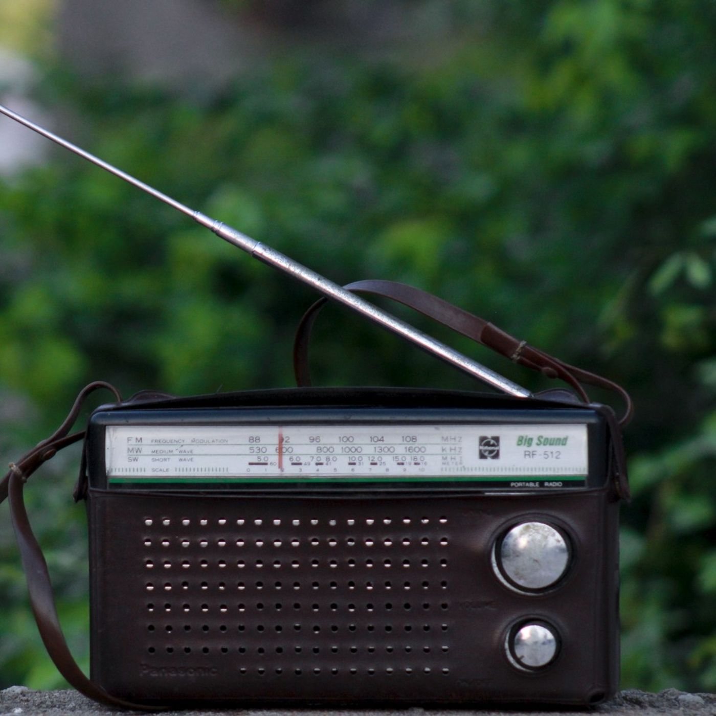 Le journal du 13 février 2026 - La radio à l’ère de l’IA : opportunités et défis pour les médias episode artwork