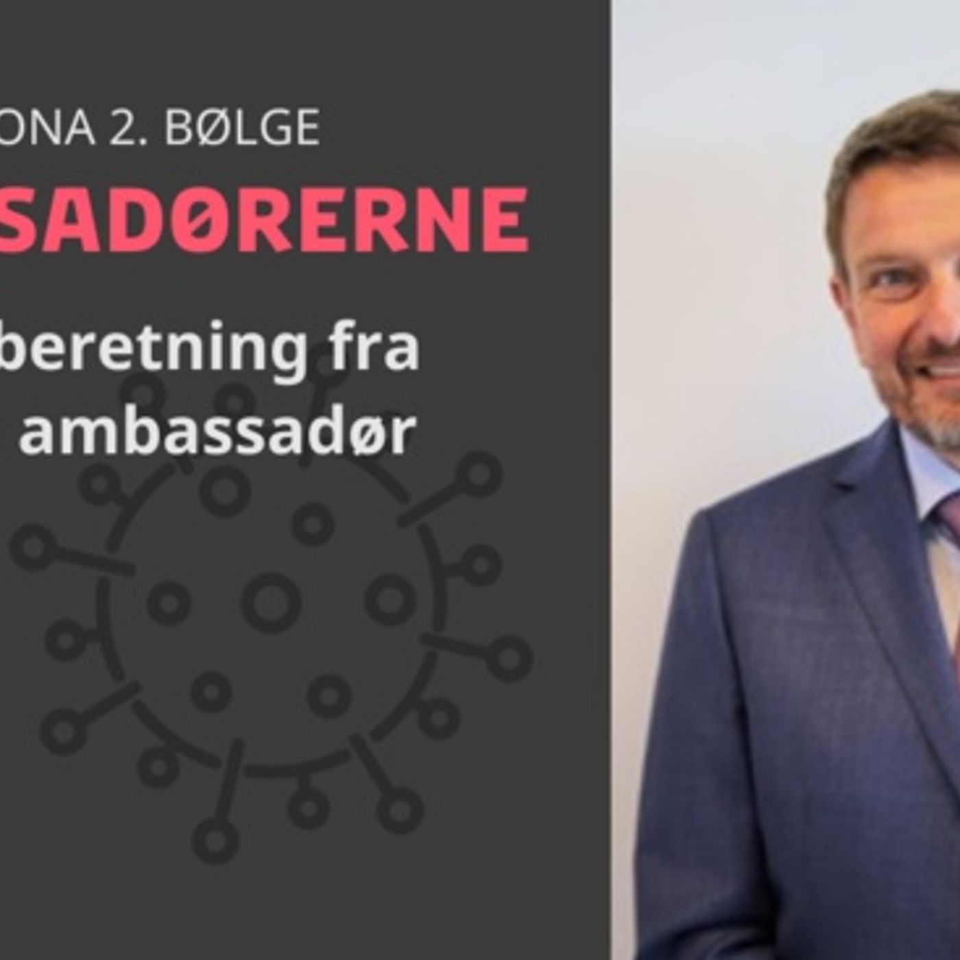 Ambassadørerne