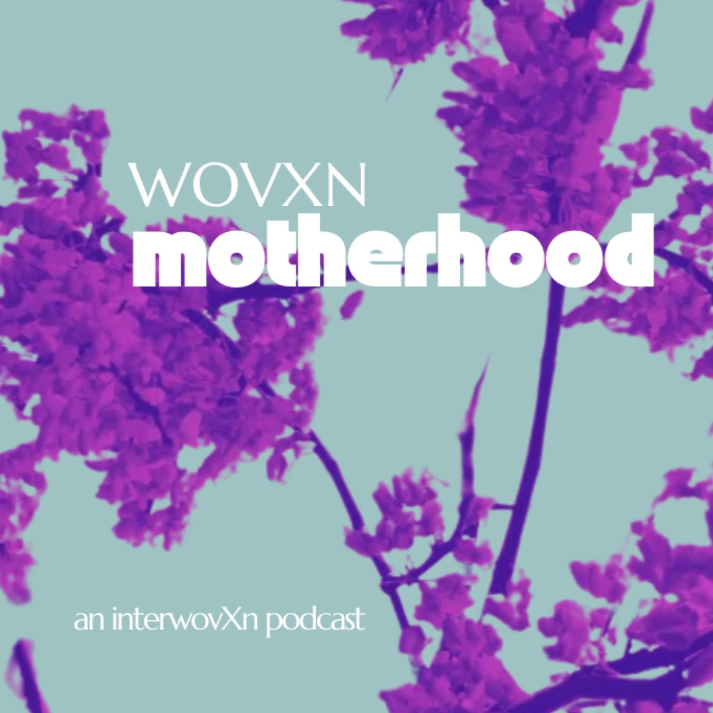 Welcome to WOVXN Motherhood episode artwork