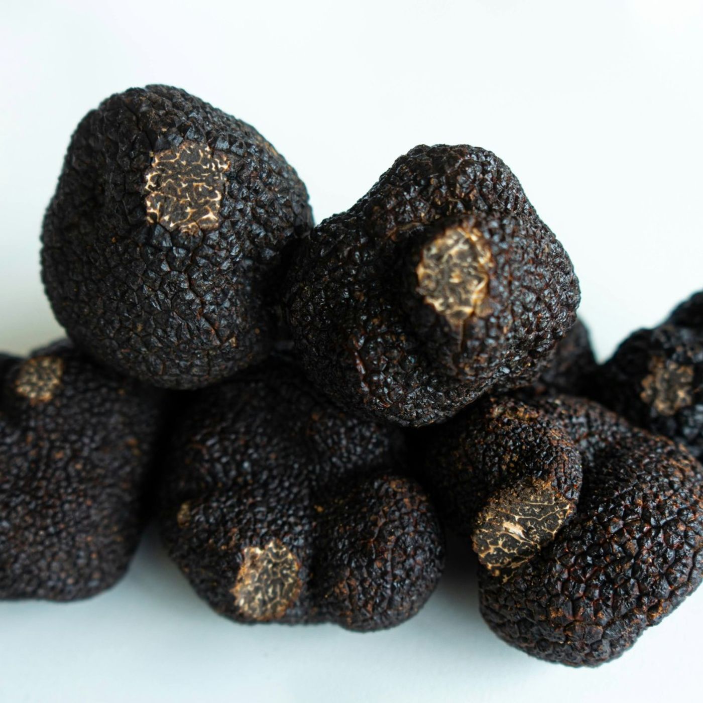 Asta del Tartufo Bianco d’Alba: il lotto top va a Hong Kong per 110mila euro