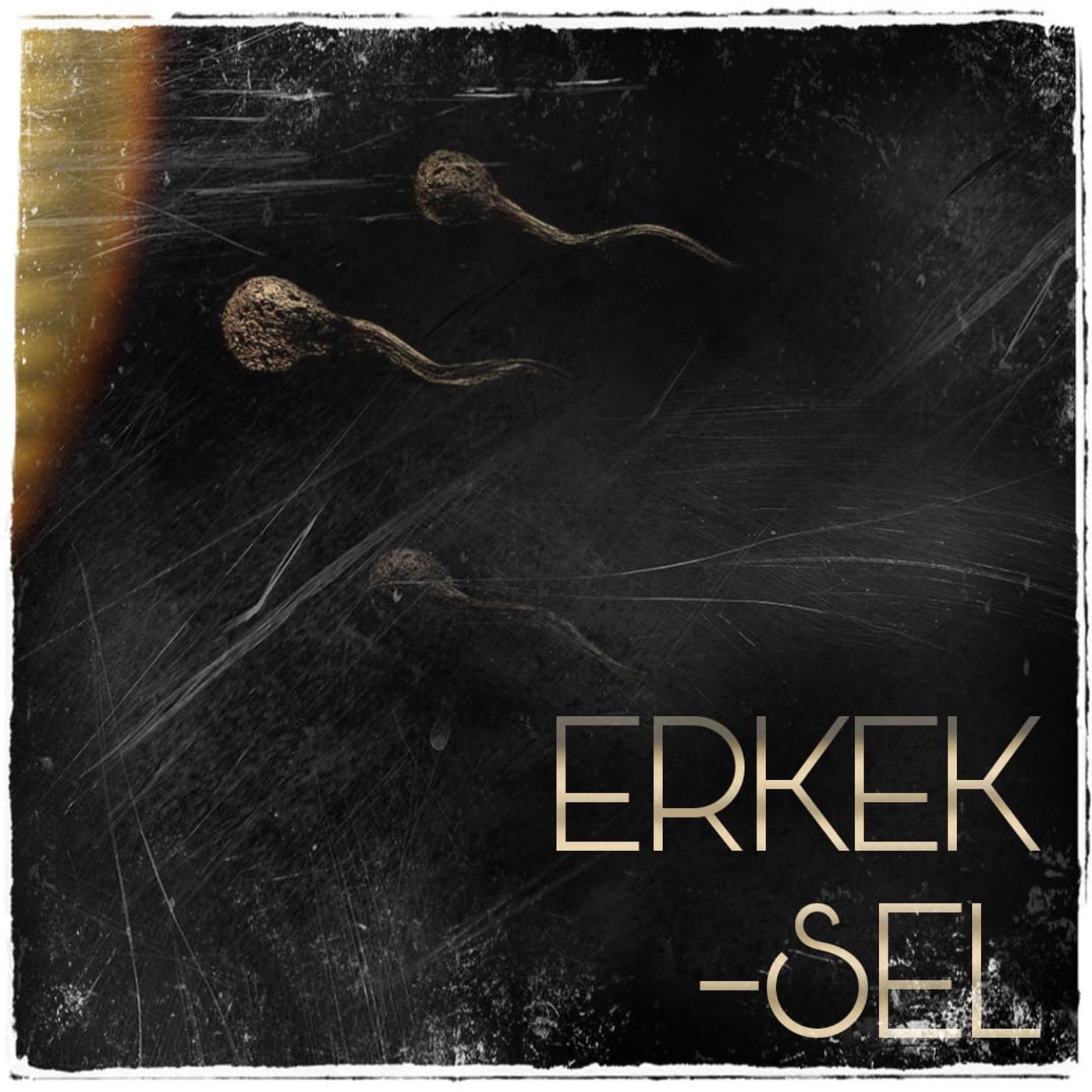 ERKEK(SEL)