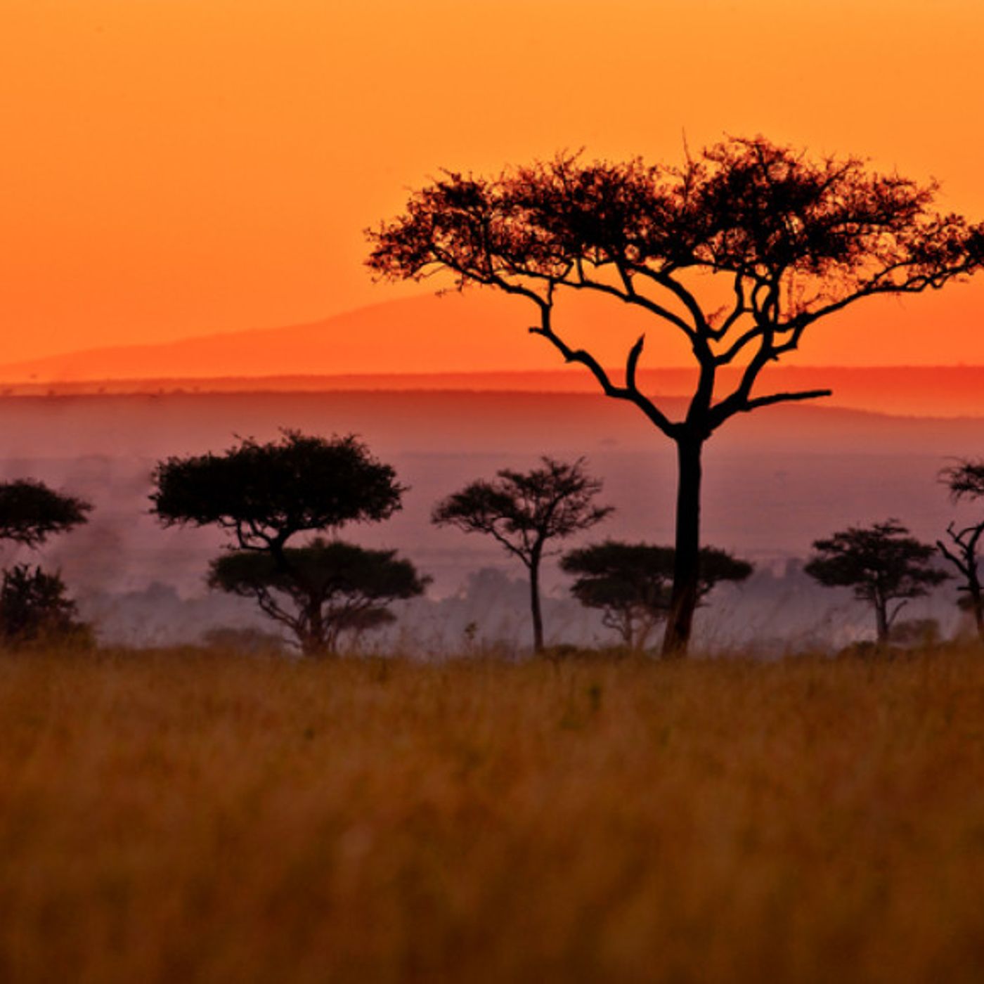 La mia Africa di Karen Blixen: trama e autrice episode artwork