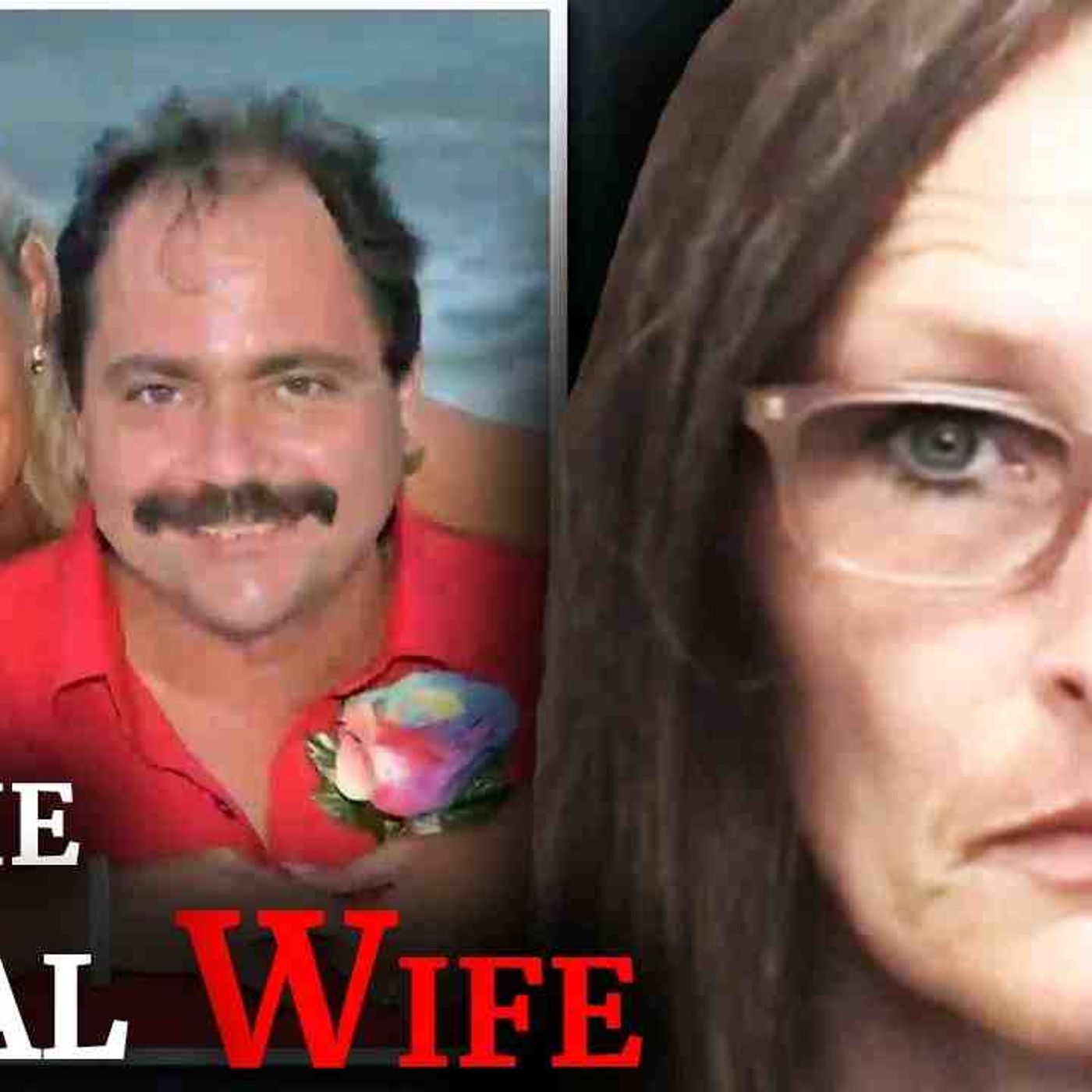 How a Wife_s Alleged Affair and Murder Plot was Exposed [True Crime Documentary] episode artwork