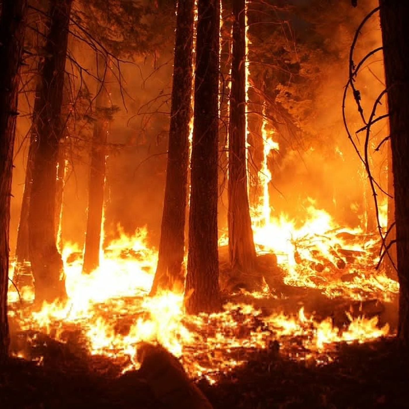 Giving Up on Climate Change