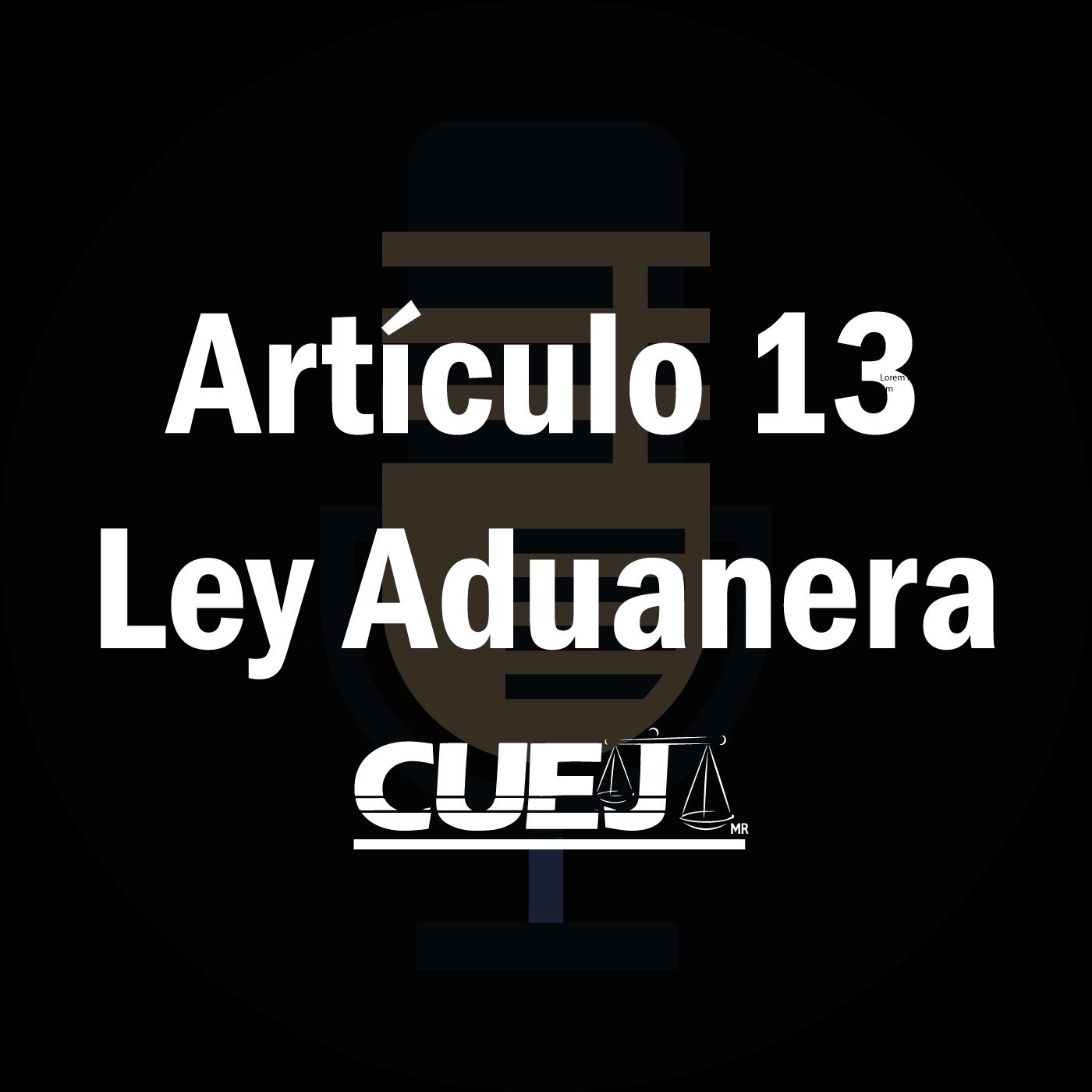 Audio Ley Aduanera