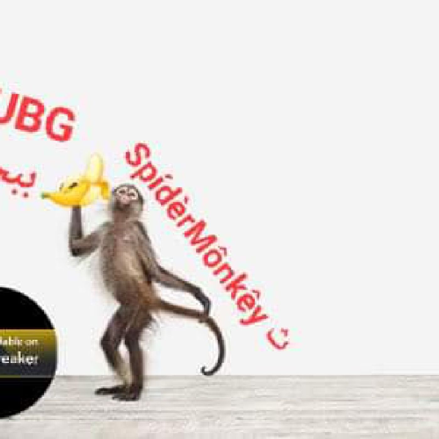 SpídèrMönkêy Tuesday Lazy Day SpídèrMönkêy Tuesday Lazy Day