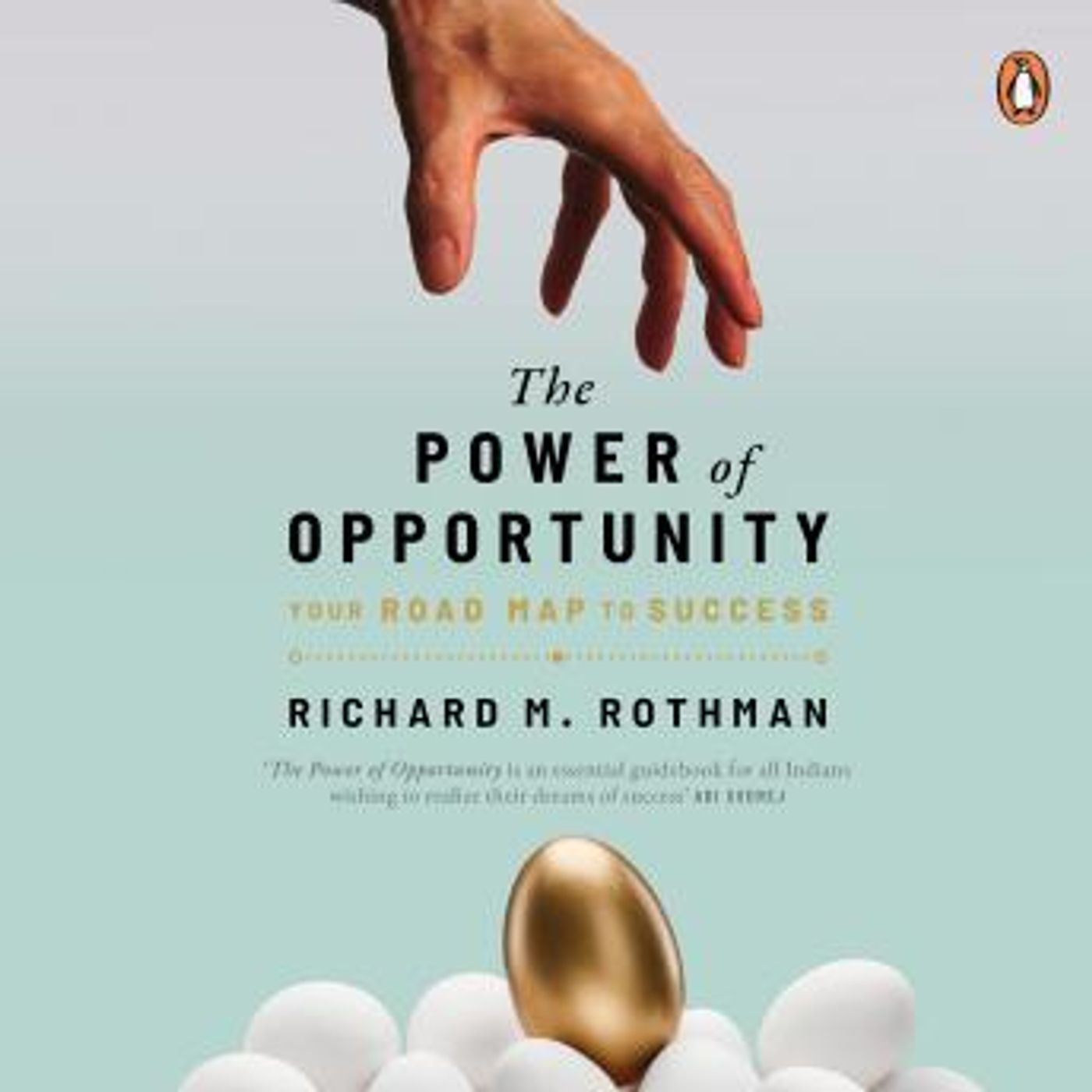 The Power of Opportunity: Your Roadmap to Success by Richard Rothman episode artwork