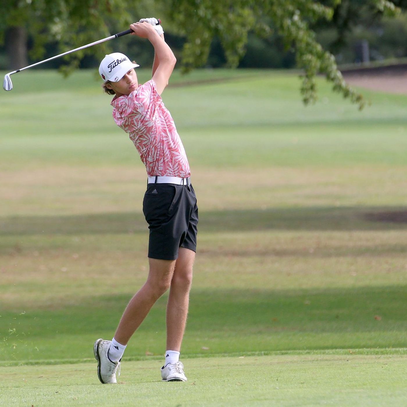 NewsTribune/BCR 2026 boys golf preview capsules: Hall looks to return to state episode artwork
