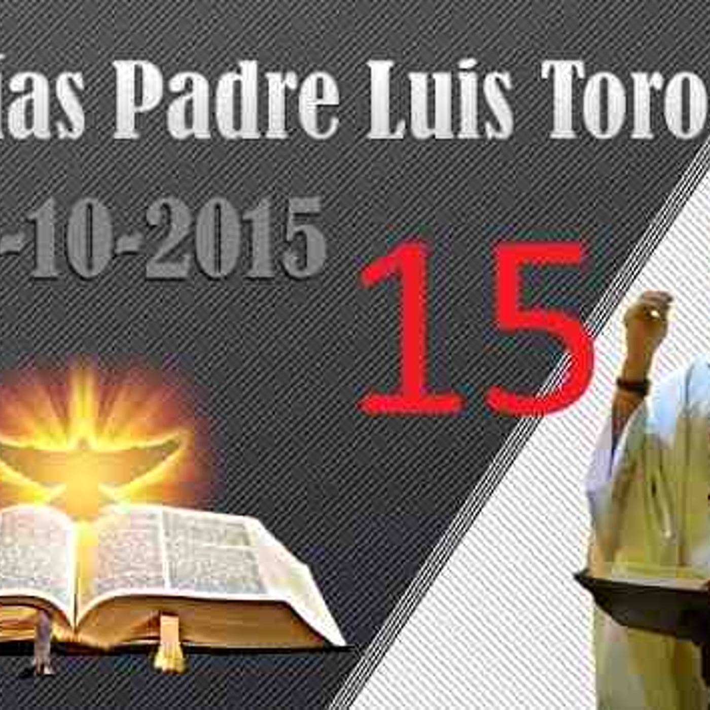 Homilía del 14-10-2015 - Padre Luis Toro(MP3_160K) episode artwork