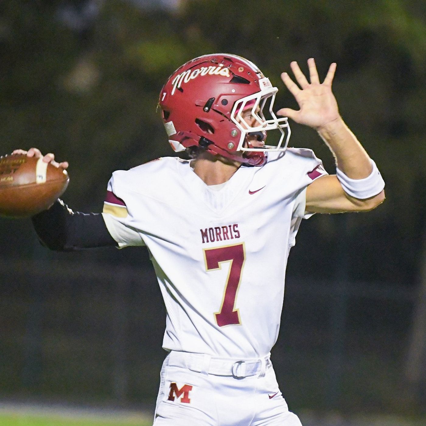 Will and Grundy County Week 9 IHSA playoff outlook: Who’s in, who’s almost in and who has work to do episode artwork