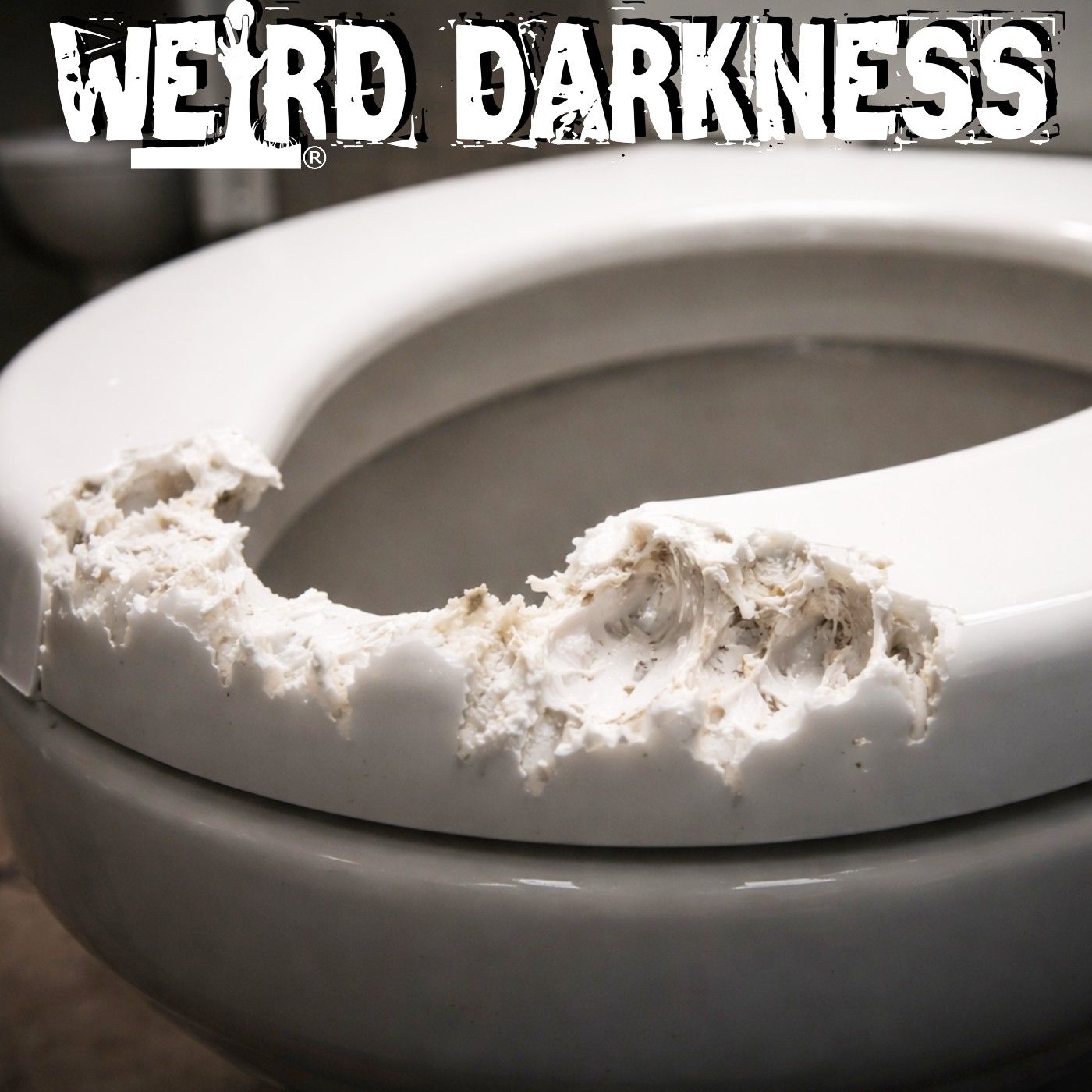 Australian Mayor Has to Ask People to STOP EATING Toilet Seats