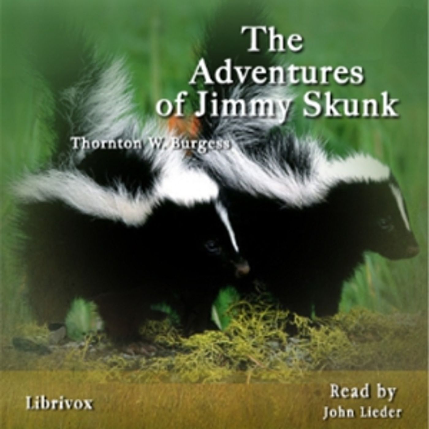 The Adventures of Jimmy Skunk, by Thornton W. Burgess