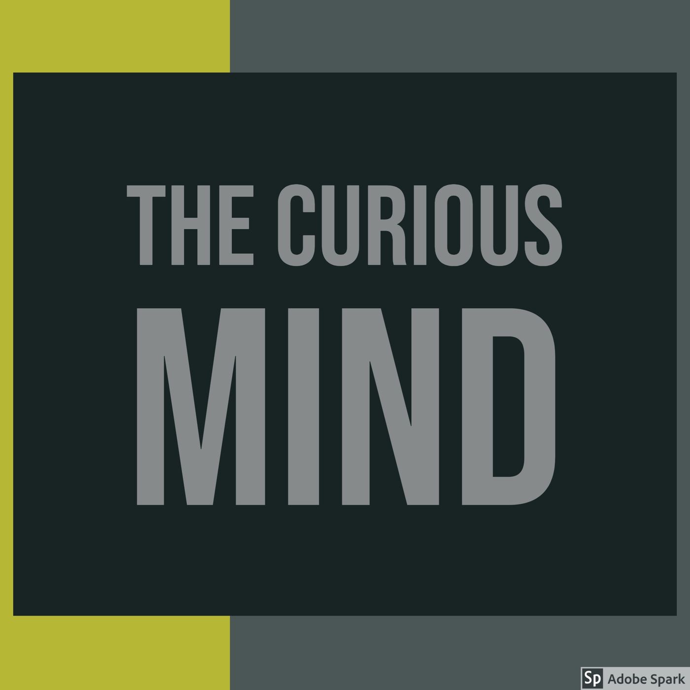 The Curious Mind