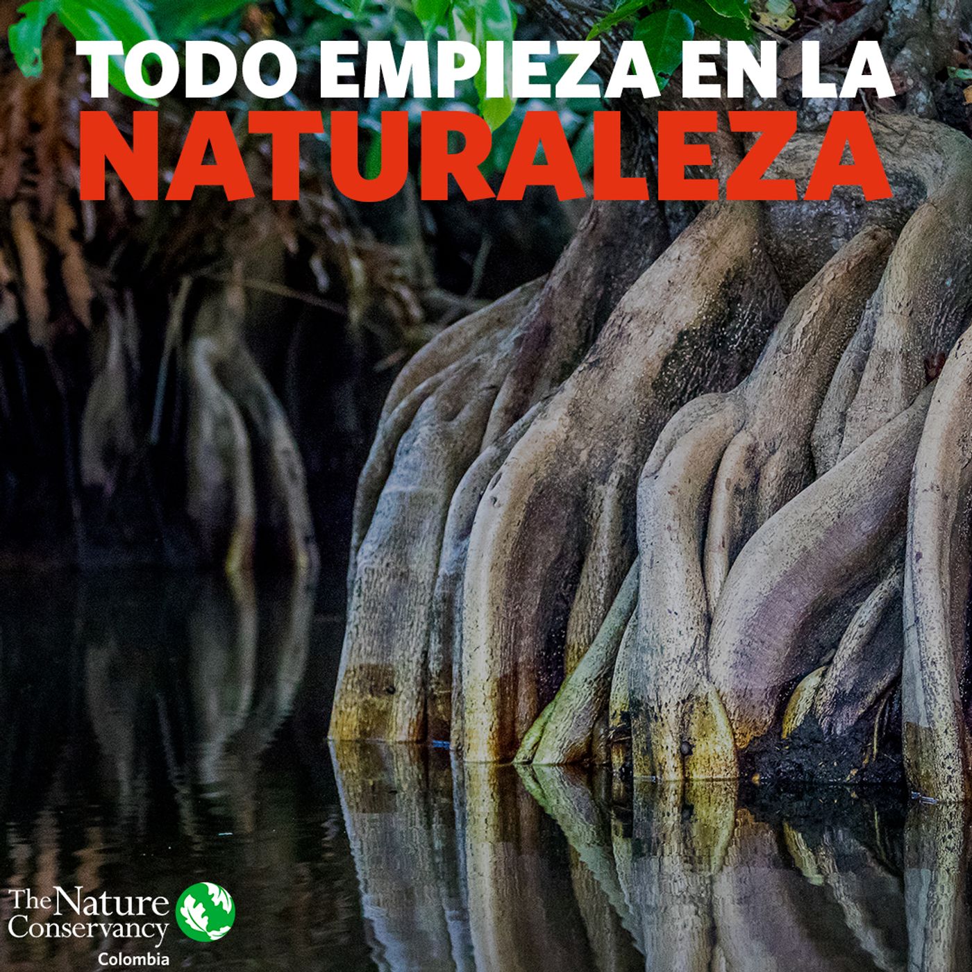 Charlas de la conservación