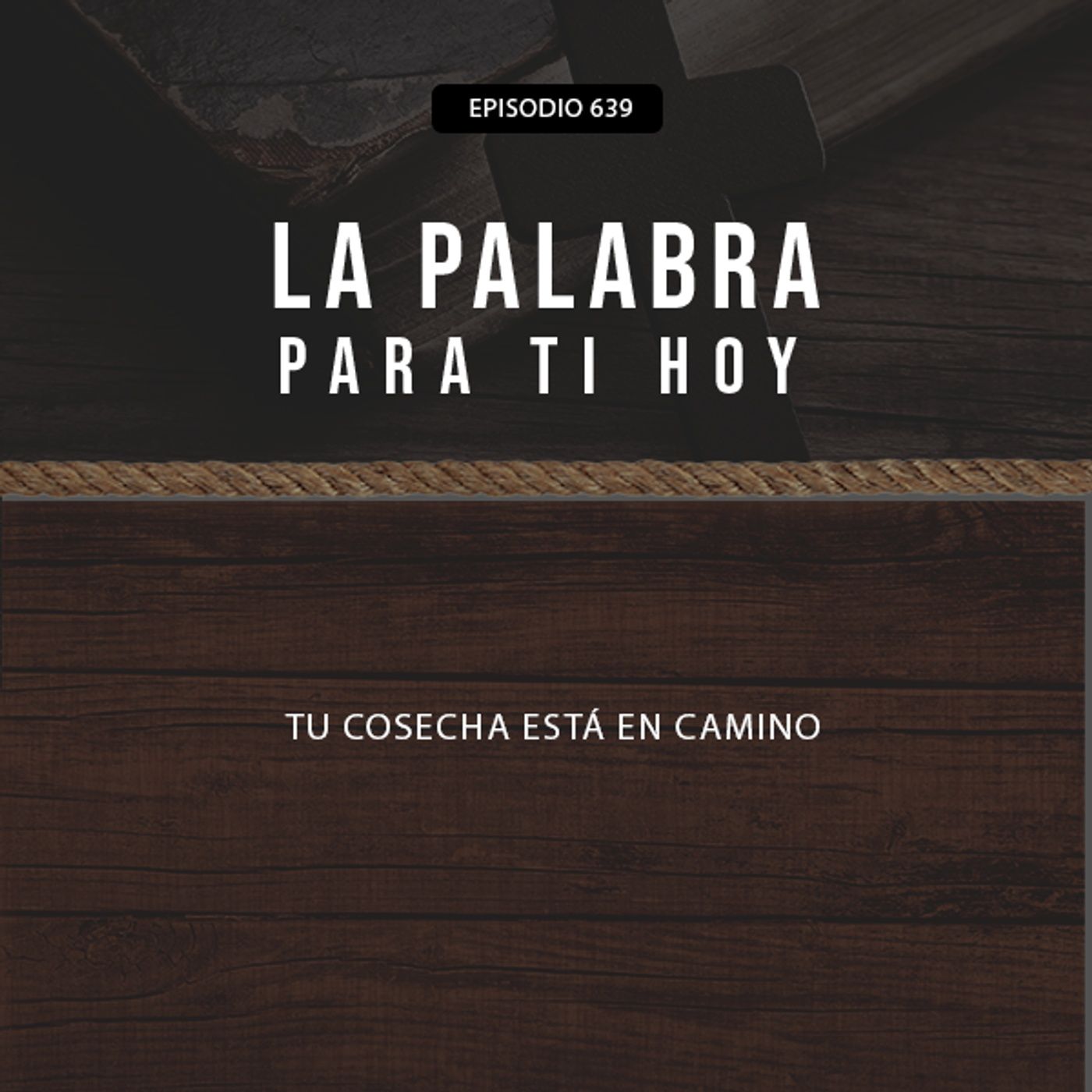 639: Tu cosecha está en camino
