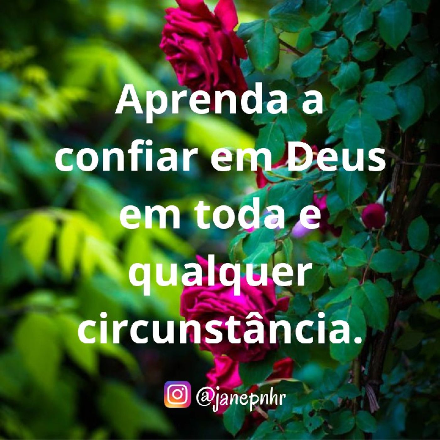 Pra. Jane Pinheiro