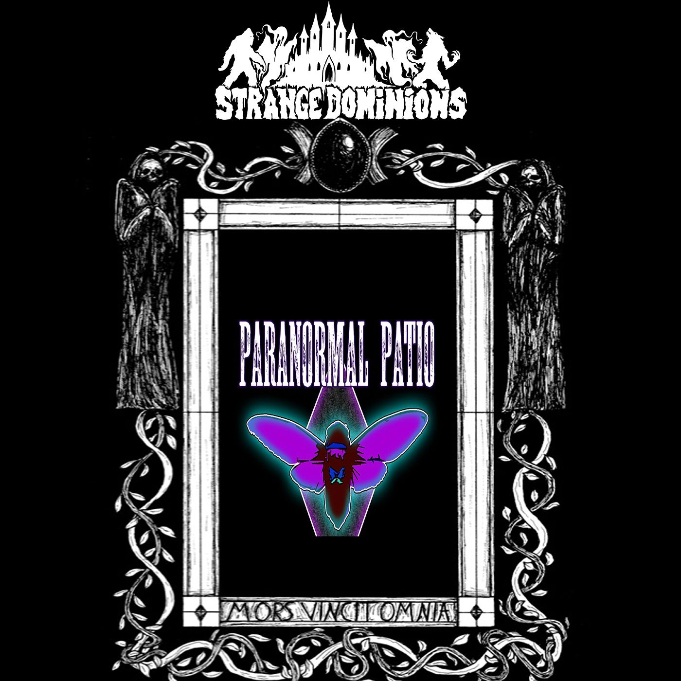 Strange Dominions Episode 17: Exploring the anomalous with Jason Andrews From Paranormal Patio Podcast Image