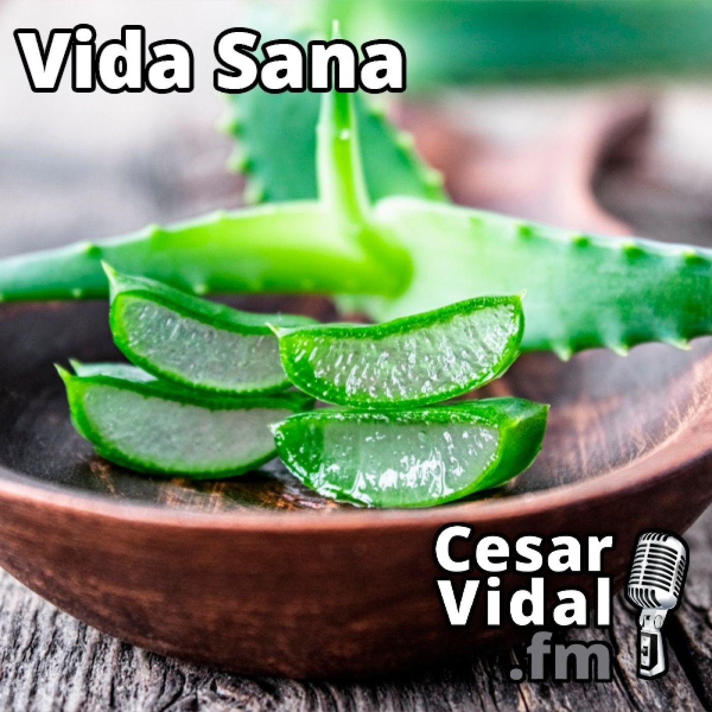 La Voz de César Vidal