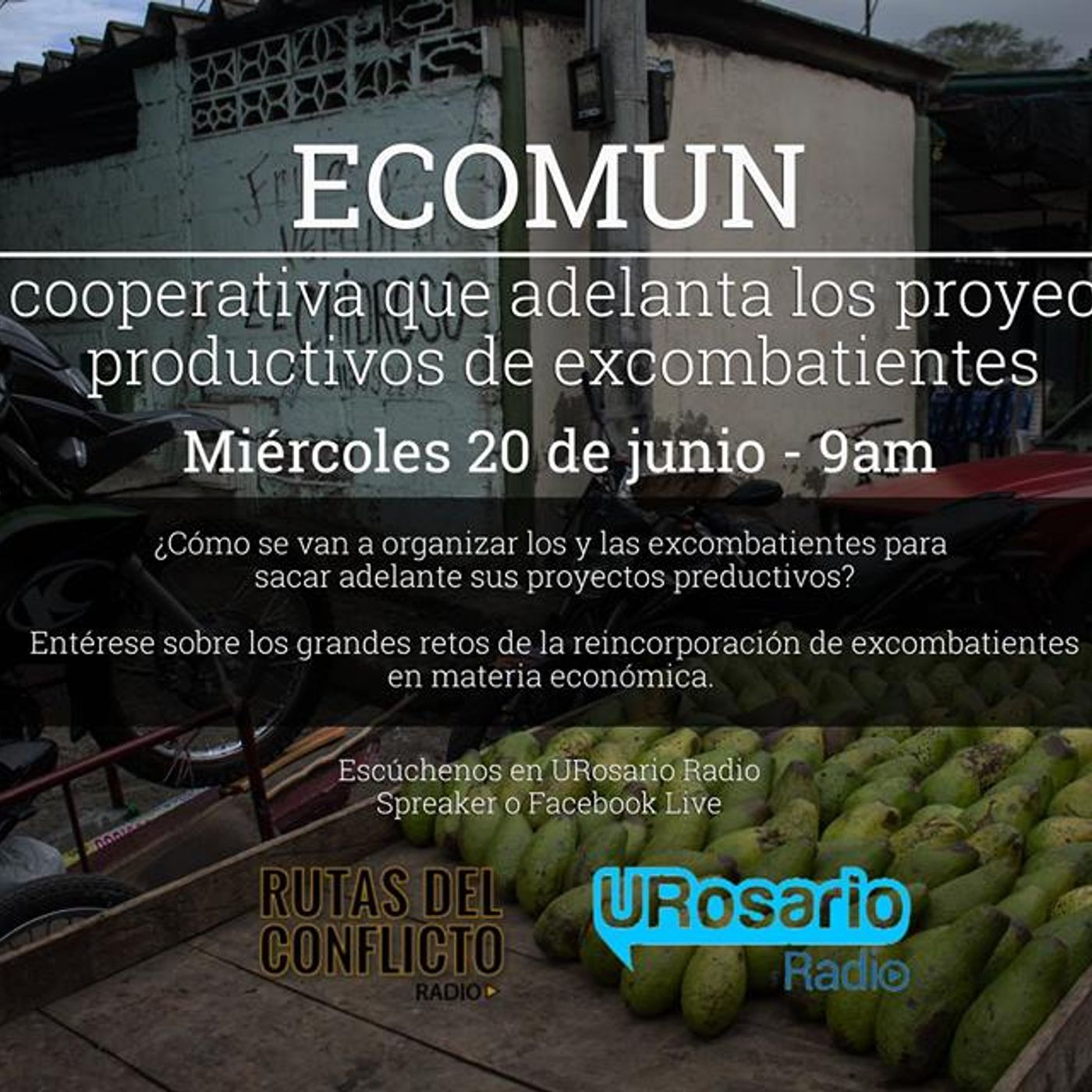 RUTAS DEL CONFLICTO RADIO