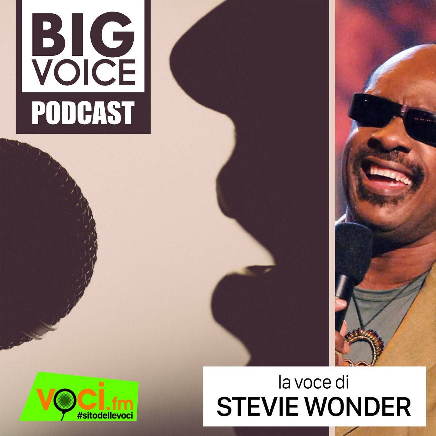 BIG VOICE PODCAST: Stevie Wonder - clicca play e ascolta il podcast episode artwork