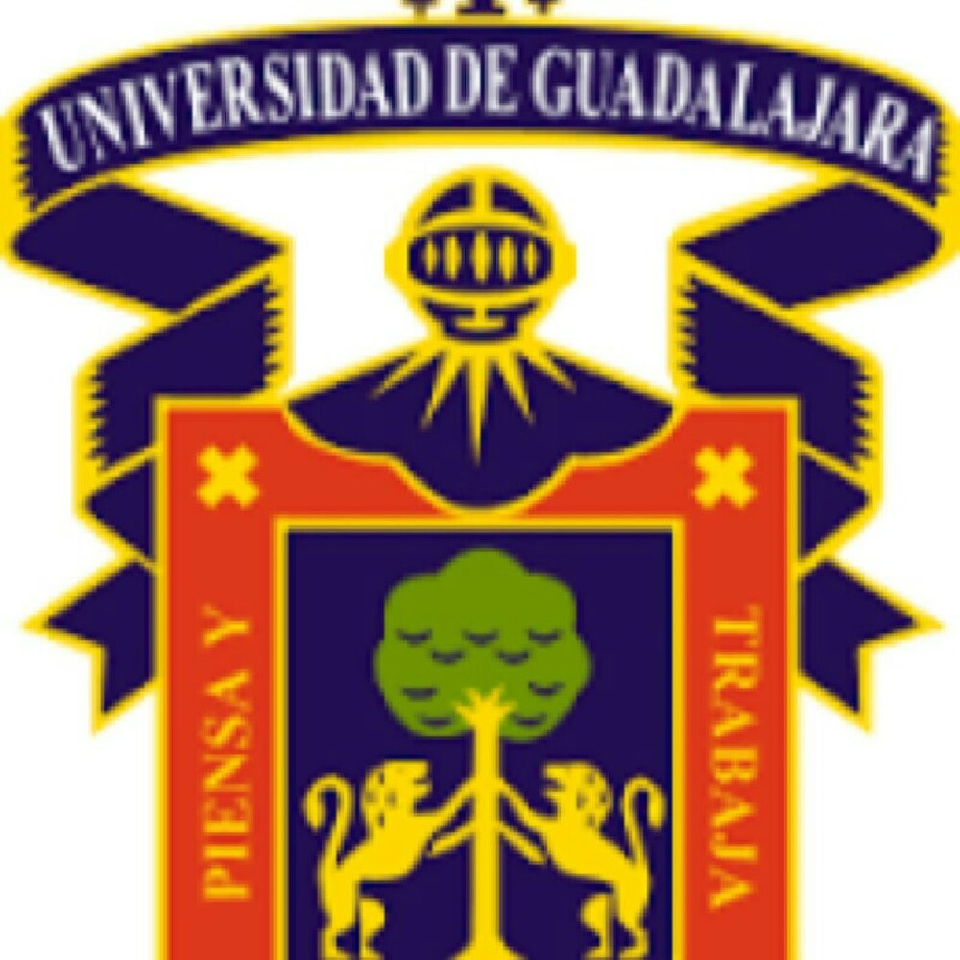 Programa Radiofonico