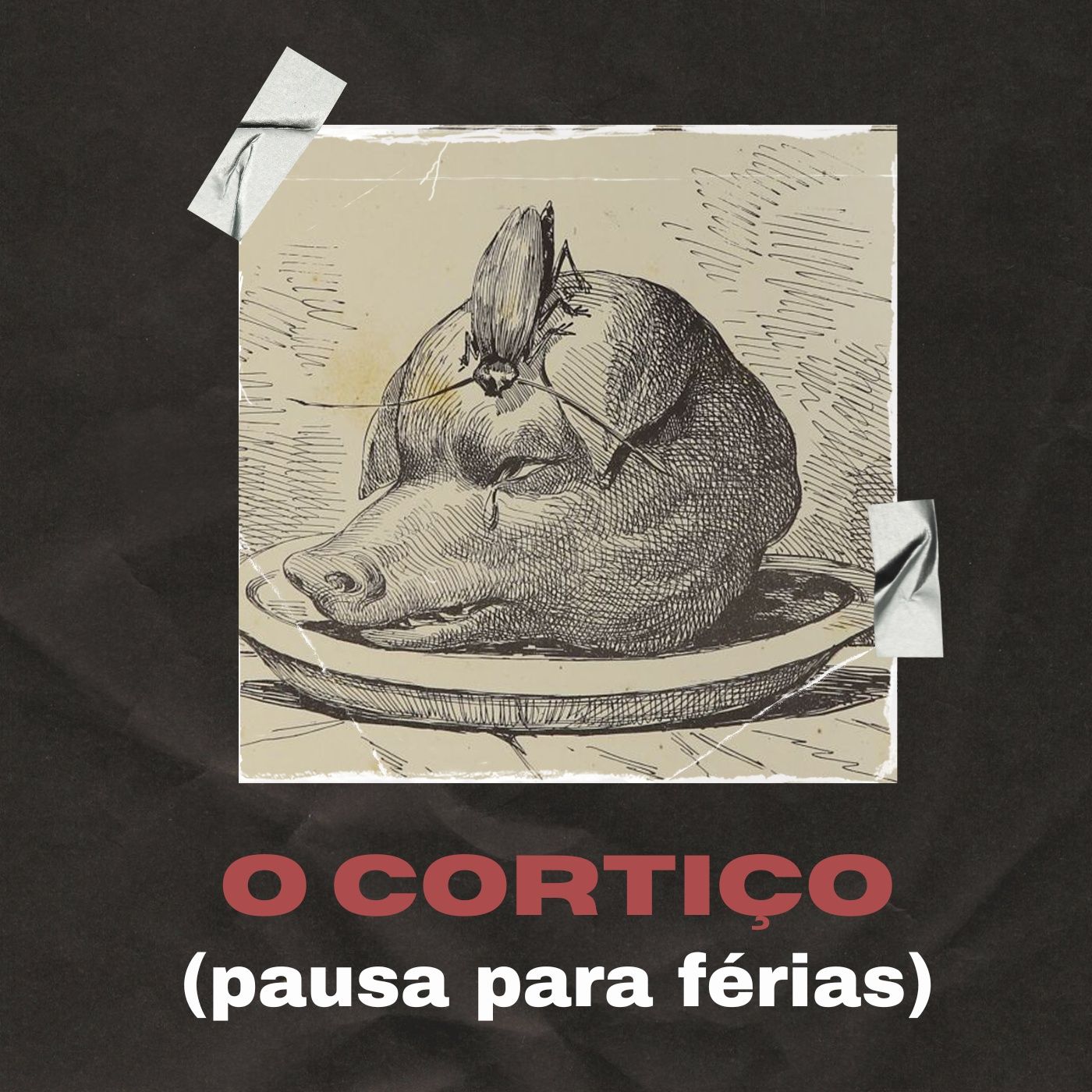 Ler Antes de Morrer
