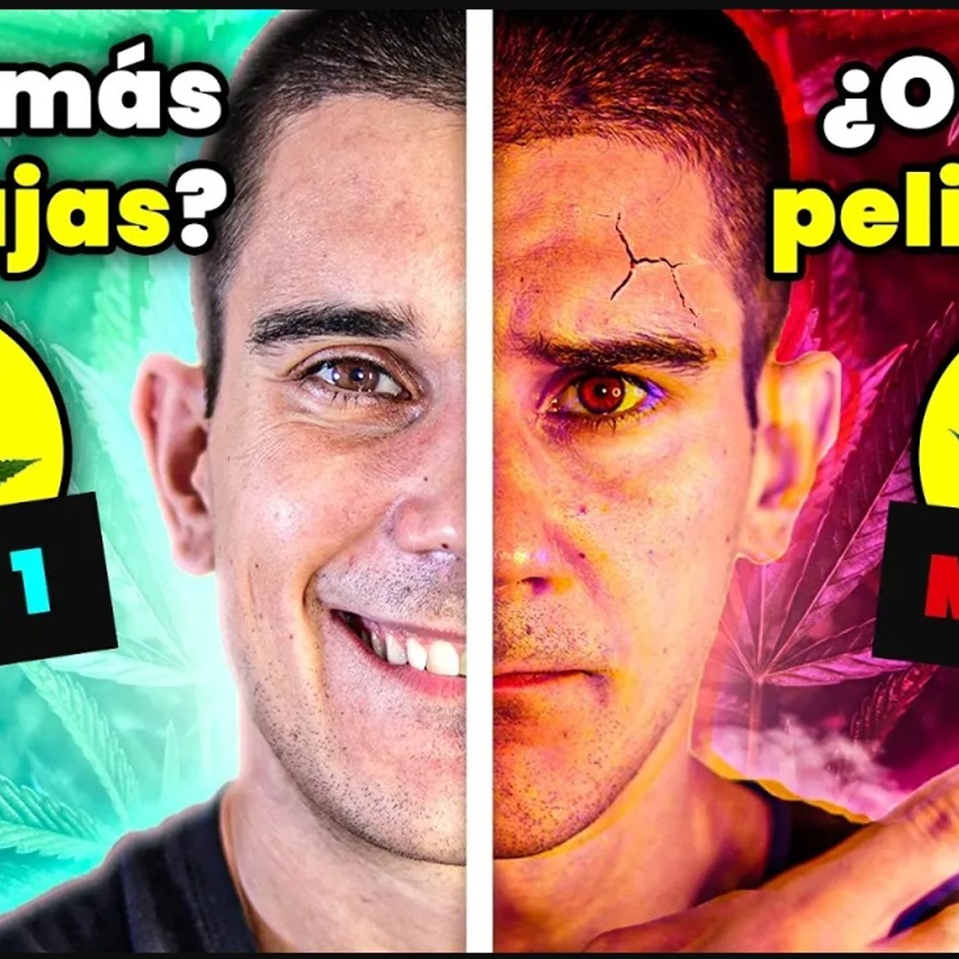 ¿Consumes CANNABIS?⚠️Te Revelo Lo Que Ocurre en tu CEREBRO tras 6 Meses