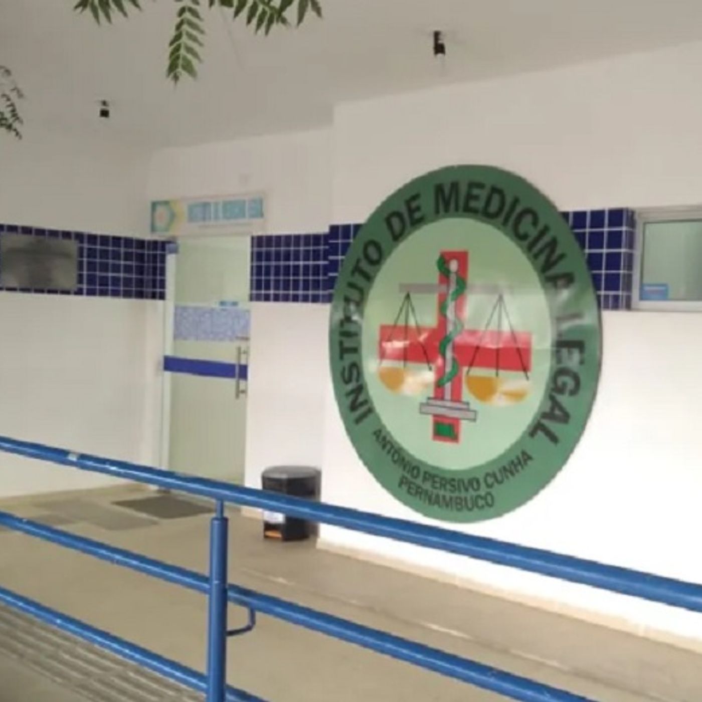 Rede Seta Notícias