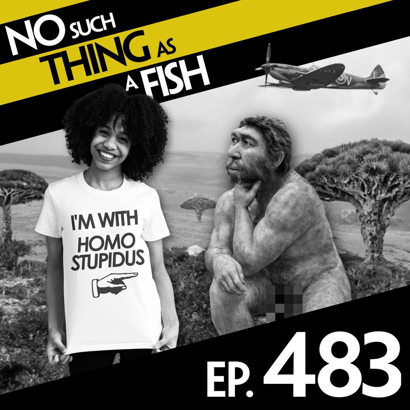 No Such Thing As A Fish