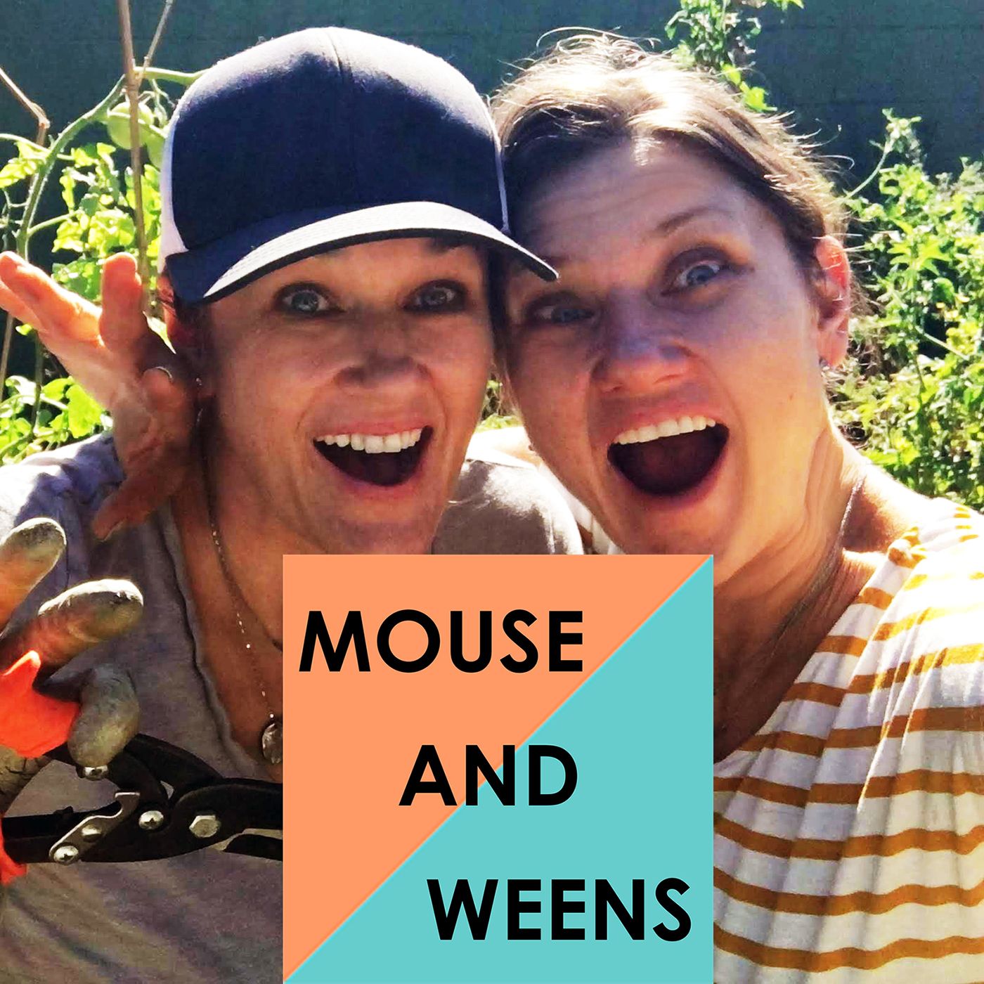 Mouse and Weens