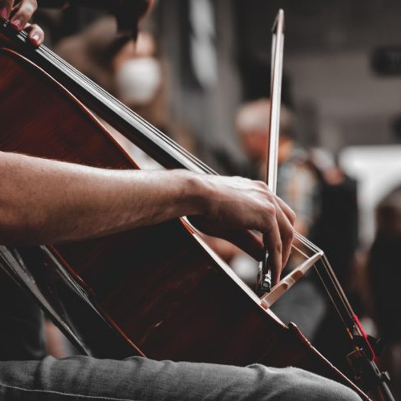 Istituto Musicale Città di Thiene: una coprogettazione per tutti episode artwork